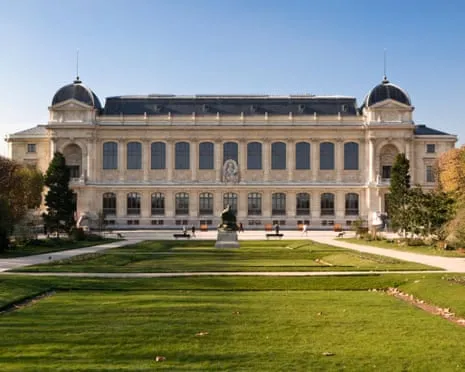 Invaluable Gold Samples Snatched in Bold Heist at France's National Museum
